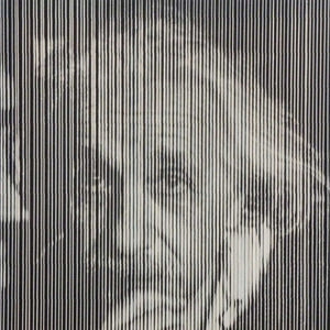 Open image in slideshow, Albert Einstein
